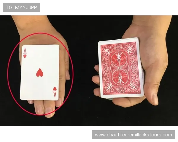 三公纸牌游戏规则全面介绍新手入门必看攻略指南