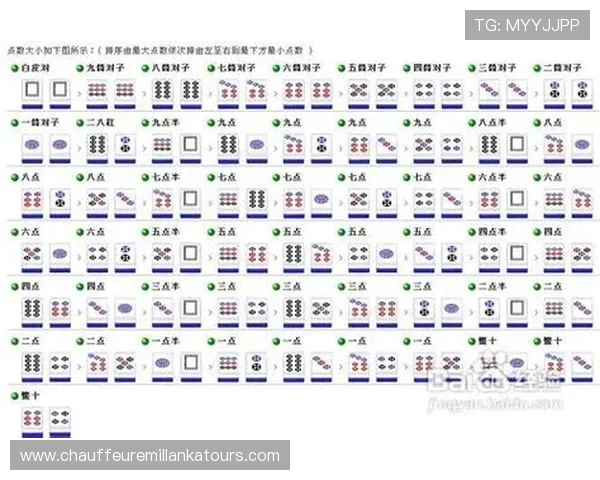 二八杠规则详解：帮助玩家理解游戏规则、掌握技巧实现稳步赢利