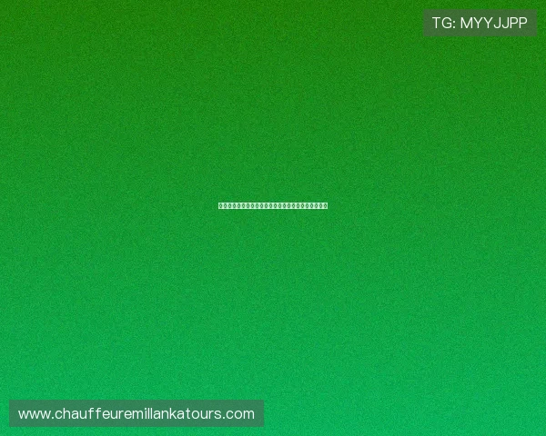 四人斗地主比赛规则与策略分析帮助玩家轻松赢得比赛