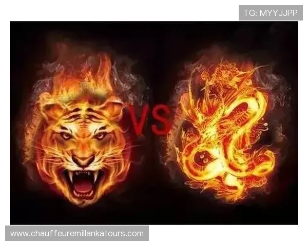 多平台支持龙虎斗游戏app，随时随地畅享精彩刺激的龙虎斗对决