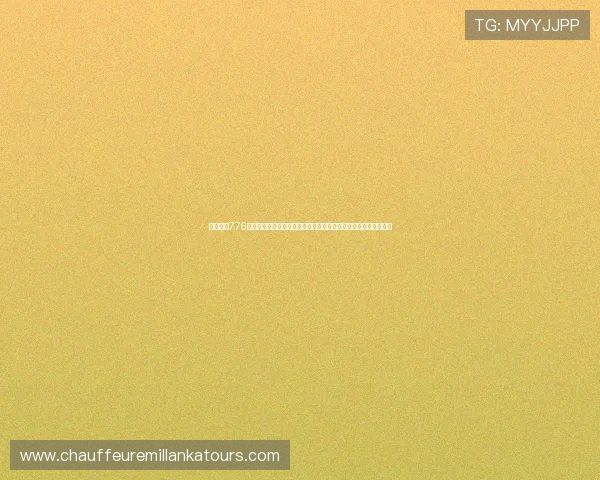 必赢亚洲776客服支持与常见问题解答为玩家提供全方位的在线帮助与解决方案