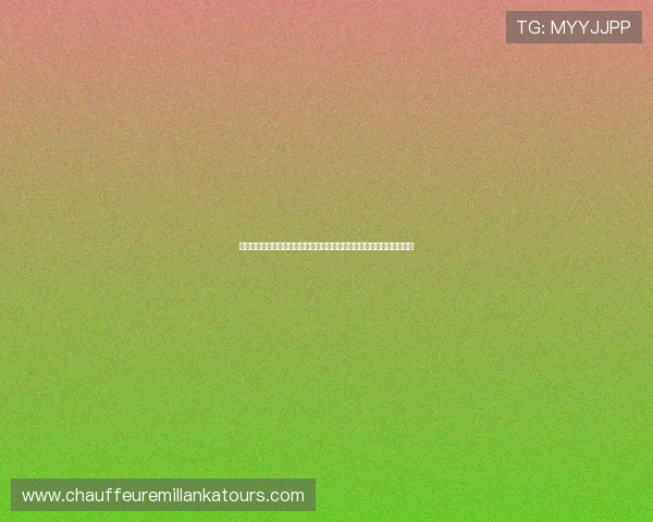 必赢亚洲娱乐平台专业客服全天在线，快速解决玩家在游戏中的各种疑问