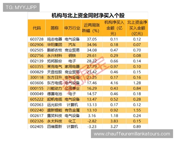 掌握百家乐旁观下注策略实现稳健盈利的全面指南